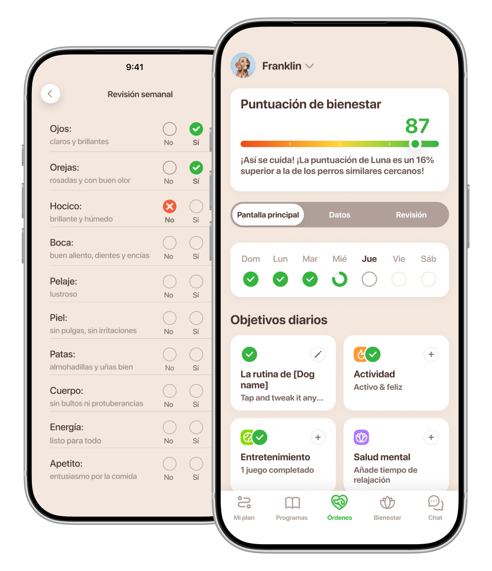 cuidar perros app